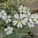 선산대로10-10 이미지