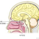 엘린바른자세연구소