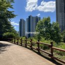 주택정원 셀프정원디자인 이미지