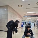 백설사세탁소 | 드디어 인도