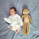 아림키즈어린이집 | 본격적인 애둘육아 시작 송송남매