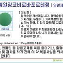 영일팜 이미지