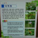 성남시립식물원은행자연관찰원 티스토리