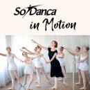 E motion | [E'Ballet News! 11월호] 발레계 뉴스와 이벤트, 신상품 등을 이발레뉴스에서 확인하세요!