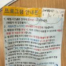 씨월드 | 거제씨월드 벨루가클래스 내돈내산후기