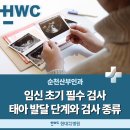 의료법인내일의료재단 현대여성아동병원 | 순천부인과 :: 임신초기 필수검사 태아의 발달과정 살펴보아요