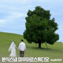 2602 | 본식 스냅 미무아르 스튜디오 웨딩 스냅 후기 (할인코드 - 2602은현)