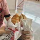 1548 | 신혼여행#6 파리(CDG)에서 바르셀로나(BCN)까지 에어프랑스 AF1548 후기