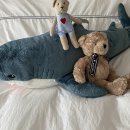 실다움한의원 이미지