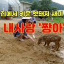 태봉농장2 이미지