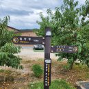 장흥 3리 이미지