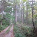 구마일주통나무산장 이미지