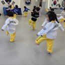 선운 태권도 네이버블로그