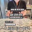 디아뜨1 B | 부천두피관리 수블랑에스테틱 , 찐 고수의 손맛 부천피부관리