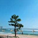 예전여행사주
