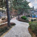 죽림 내죽도공원 네이버블로그