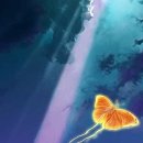 솔레나 타로 이미지