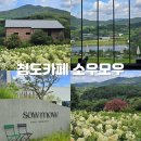 (주)금잔디조경 | 대구근교 청도카페 소우모우 유럽수국 배롱나무 실시간 후기