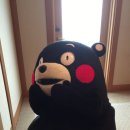 쿠마카츠 네이버블로그