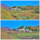 봉주르스퀘어 - 18877 | 봉주르스퀘어