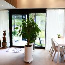 멍스타애견 이미지