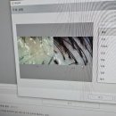동방빌딩별관(관리실) | 부산 남포동 두피관리 스마일피부탈모센터 두피스케일링 후기