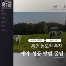 영국목장 | 용인 농도원 목장 예약 성공 방법 꿀팁 및 체험 준비물