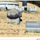 호석농장 이미지