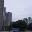 과선교버스정류장 이미지