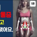 딱 10분만에 고관절통증과 골반통증 99% 사라지는 마법같은 운동 1탄 |허리와 무릎통증까지 해결되는 운동 | 골반교정운동 이미지