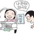 가을철 차량관리 요령 이미지