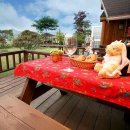 심스캐빈 이미지