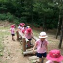 용인아이숲유아숲체험원 이미지