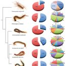 Centipede Venom : Recent Discoveries & Current State of Knowledge/ 한역 이미지