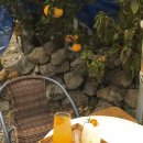 다락카페 | [제주] 서귀포카페 귤꽃다락 카페 후기