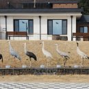 철원향교 이미지