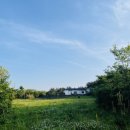 고망돌담 이미지