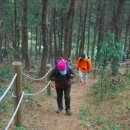 종달바당 이미지