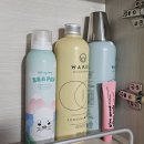 씨팝케어 이미지