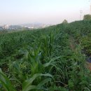 조리농업협동조합 이미지