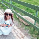 동심농장 이미지