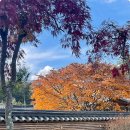 켄싱턴평창 이미지