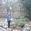 서린사 이미지