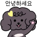 스타벅스동해ICDT점 네이버블로그