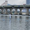 스위밍고 | 짜릿했던 1.6km! 2025 한강크로스스위밍 대회 생생 후기 및 완주 꿀팁 A to Z