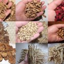 임종윤농장 이미지