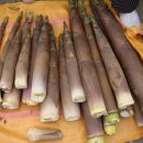 벌교전통시장 이미지