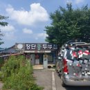 (파주) 콩국수 면이 떡이 된 장파리 두부집