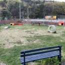 산좋고물좋고 이미지