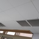 장림초등학교 이미지